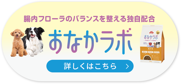 おなかラボ