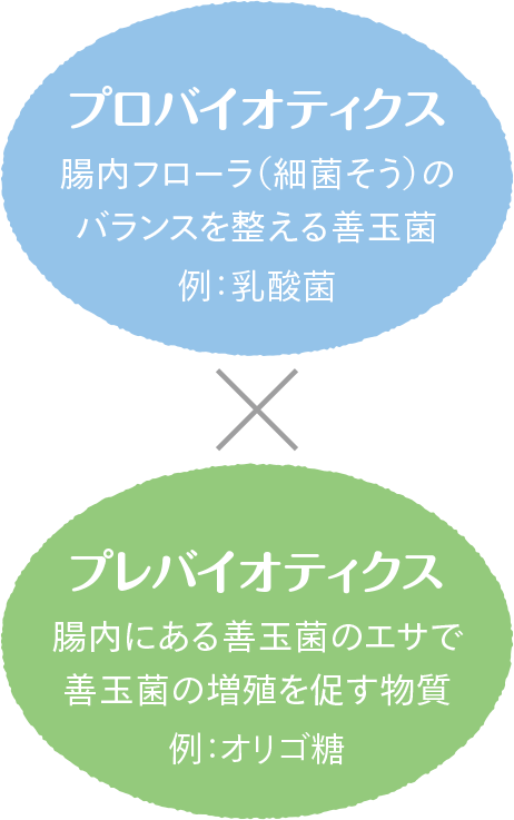 【プロバイオティクス】腸内フローラ（細菌そう）のバランスを整える善玉菌 例：乳酸菌　× 【プレバイオティクス】腸内にある善玉菌のエサで善玉菌の増殖を促す物質 例：オリゴ糖