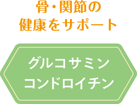 骨・関節の健康をサポート　グルコサミン コンドロイチン