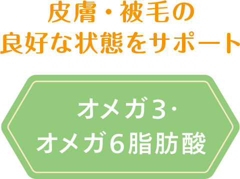 皮膚・被毛の良好な状態をサポート　オメガ3・オメガ6脂肪酸