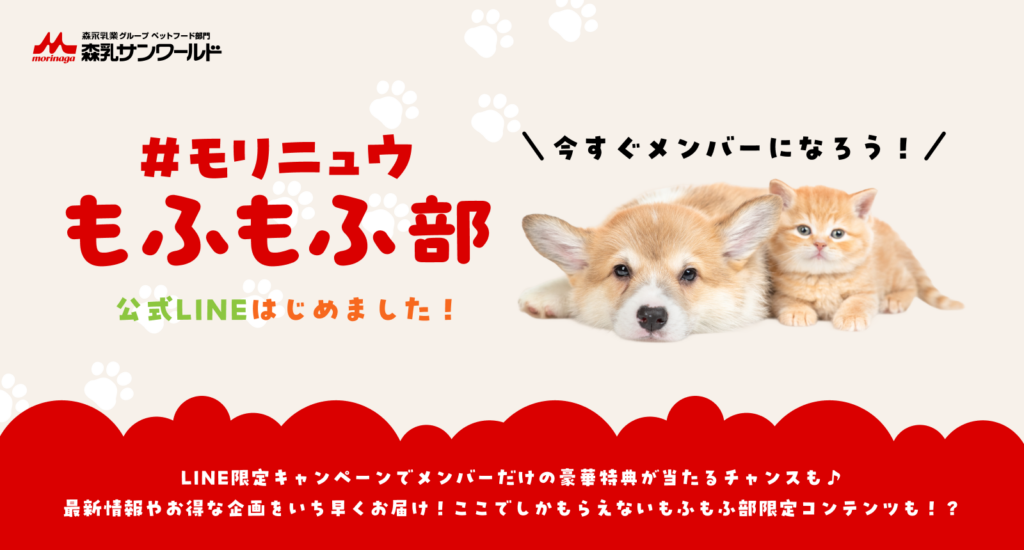 公式LINE開設案内