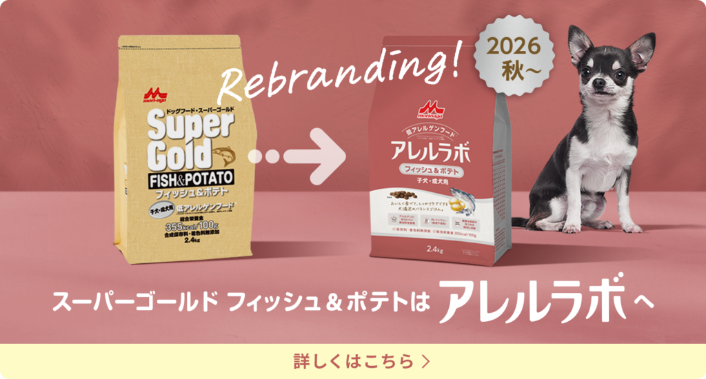 リブランディングのご案内